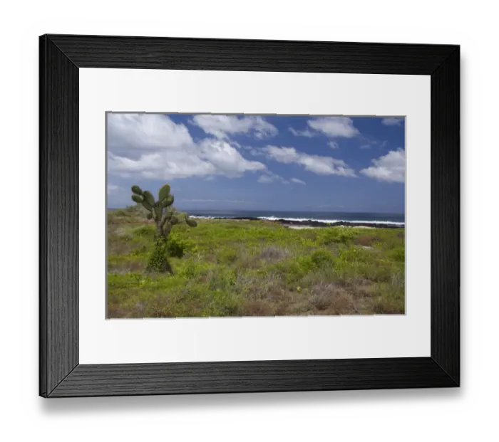 Framed Print : Ecuador, Galapagos, Santiago (aka James). James Bay, Puerto Egas. Island landscape Framed Print : Ecuador, Galapagos, Santiago (aka James). James Bay, Puerto Egas. Island landscape