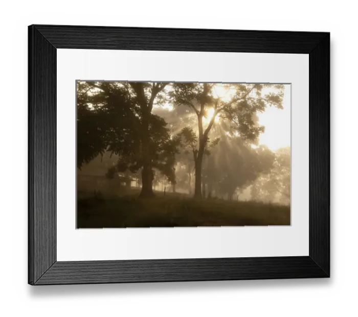 Framed Print : South America, Ecuador, Galapagos, Santa Cruz. Early morning sunbeams through highland
