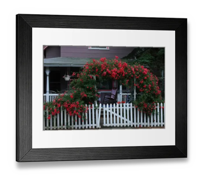 Framed Print : USA, Massachusetts, Marthas Vineyard, Edgartown. Colorful arbor and picket fence Framed Print : USA, Massachusetts, Marthas Vineyard, Edgartown. Colorful arbor and picket fence