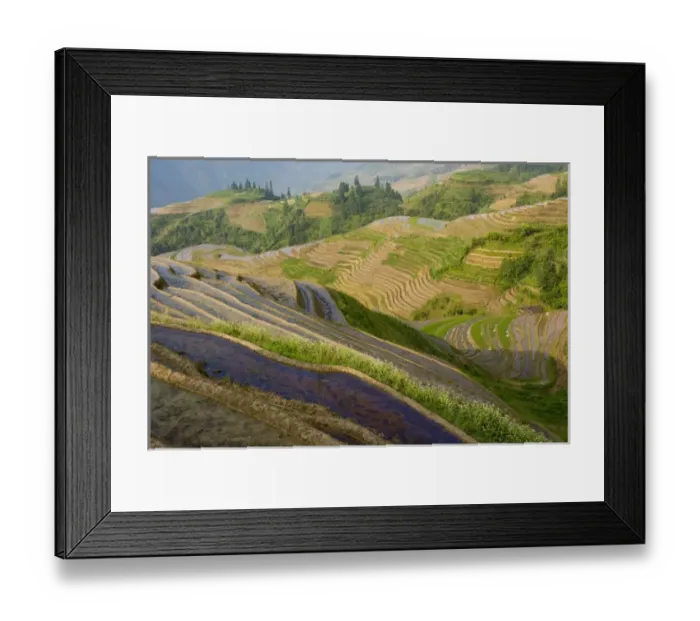 Framed Print : Seven Stars and Moon viewpoint, Dragons Backbone Rice Terraces, near Zhuang village of Ping An
