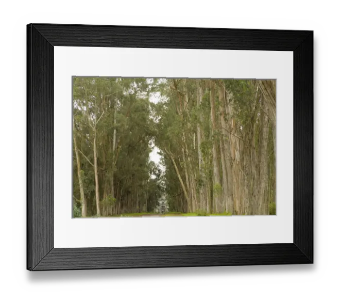 Framed Print : South America, Ecuador, Lasso, Entrance driveway to Hacienda La Cienega