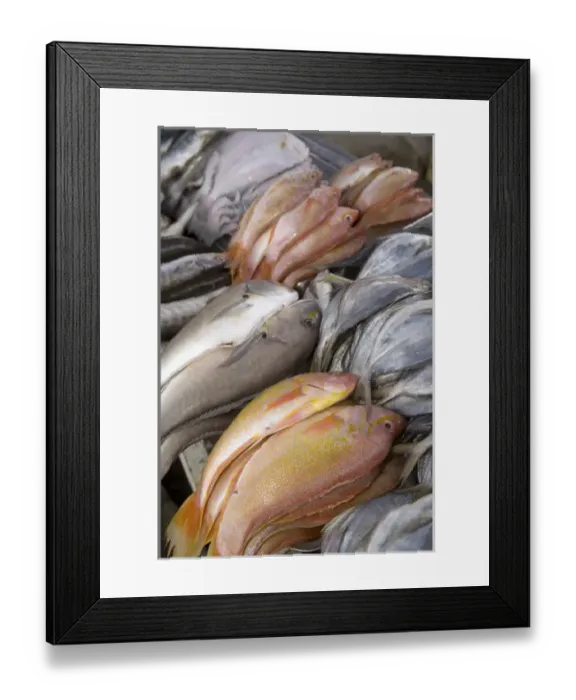 Framed Print : South America, Ecuador, Pujili, fish on display at weekly outdoor food market Framed Print : South America, Ecuador, Pujili, fish on display at weekly outdoor food market