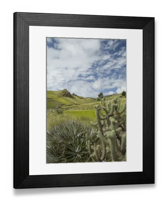 Framed Print : South America, Ecuador, fields and mountains near Zumbahua Framed Print : South America, Ecuador, fields and mountains near Zumbahua