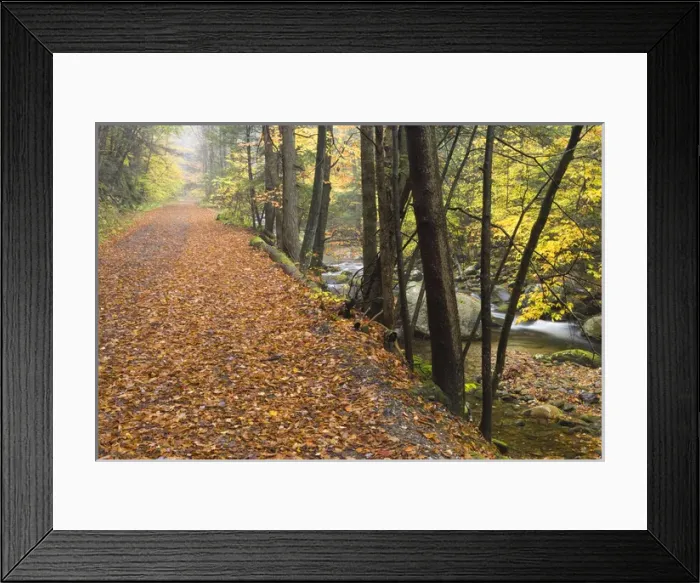 Framed Print : Sanderson Brook. Chester-Blanford State Forest. Connecticut River tributary. Chester Framed Print : Sanderson Brook. Chester-Blanford State Forest. Connecticut River tributary. Chester