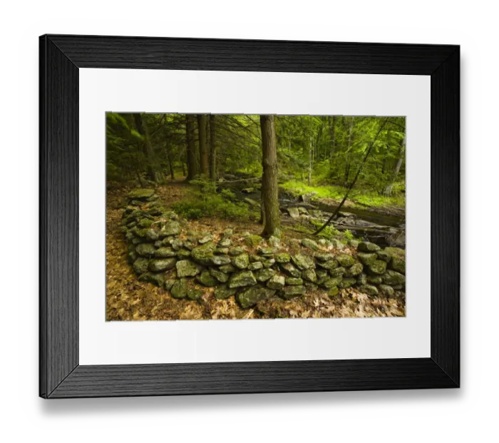 Framed Print : An old stone wall next to Muschopauge Brook in Holden, Massachusetts. Worcester County Framed Print : An old stone wall next to Muschopauge Brook in Holden, Massachusetts. Worcester County