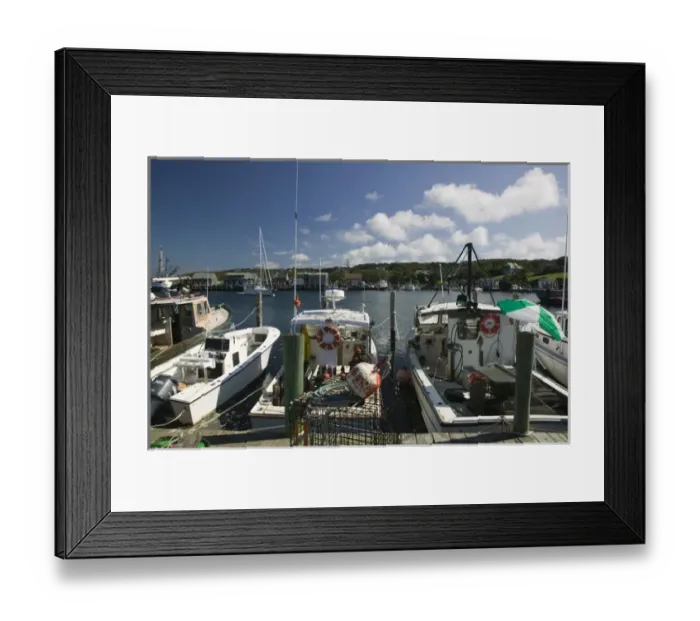 Framed Print : USA-MASSACHUSETTS-Marthas Vineyard: Menemsha- Menemsha harbor