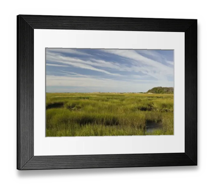 Framed Print : USA-MASSACHUSETTS-Cape Cod: Provincetown- Provincelands Marshlands / Morning Framed Print : USA-MASSACHUSETTS-Cape Cod: Provincetown- Provincelands Marshlands / Morning