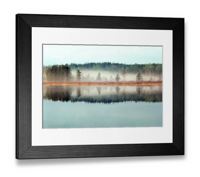 Framed Print : Morning fog in a bog of the BWCAW; Minnesota-Ontario
