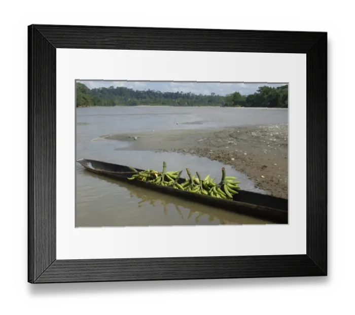 Framed Print : Canoe on Misahualli River which runs into the Napo River Amazon Rain Forest. ECUADOR