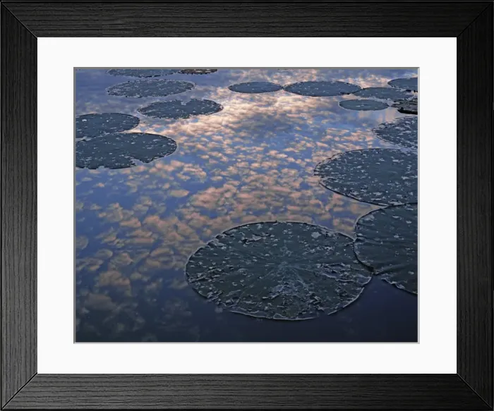 Framed Print : USA, Missouri, Otter Slough Natural Area Framed Print : USA, Missouri, Otter Slough Natural Area