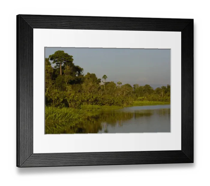 Framed Print : Jungle lake close to Yasuni National Park. Napo River Amazon Rain Forest. ECUADOR