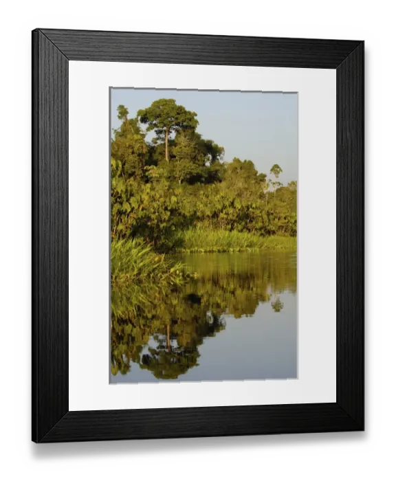 Framed Print : Jungle lake close to Yasuni National Park. Napo River Amazon Rain Forest. ECUADOR