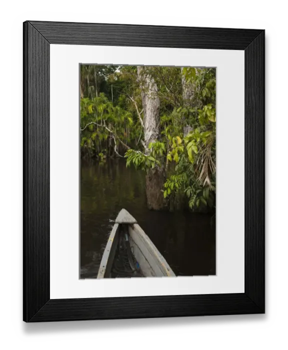 Framed Print : Canoe moving through flooded Igapo forest. Cocaya River. Eastern Amazon Rain Forest Framed Print : Canoe moving through flooded Igapo forest. Cocaya River. Eastern Amazon Rain Forest