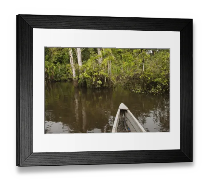 Framed Print : Canoe moving through flooded Igapo forest. Cocaya River. Eastern Amazon Rain Forest