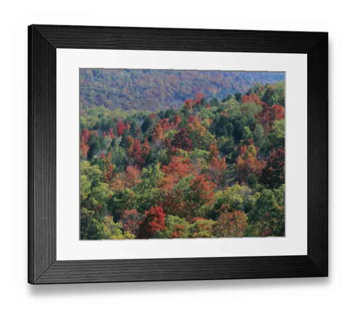 Framed Print : USA, Missouri, Mark Twain National Forest, Autumn Framed Print : USA, Missouri, Mark Twain National Forest, Autumn