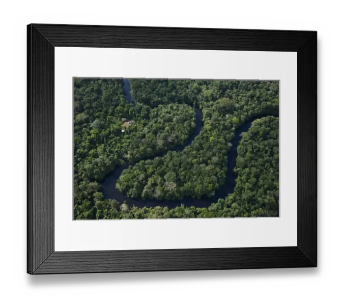 Framed Print : Cofan houses in Cuyabeno Reserve. Cuyabeno contains large tracts of permanently flooded forest Framed Print : Cofan houses in Cuyabeno Reserve. Cuyabeno contains large tracts of permanently flooded forest