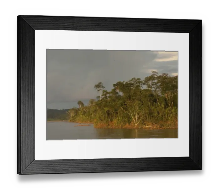 Framed Print : Napo River. near Coca (San Franciso de Orellana) Town. Amazon Rain Forest. ECUADOR Framed Print : Napo River. near Coca (San Franciso de Orellana) Town. Amazon Rain Forest. ECUADOR