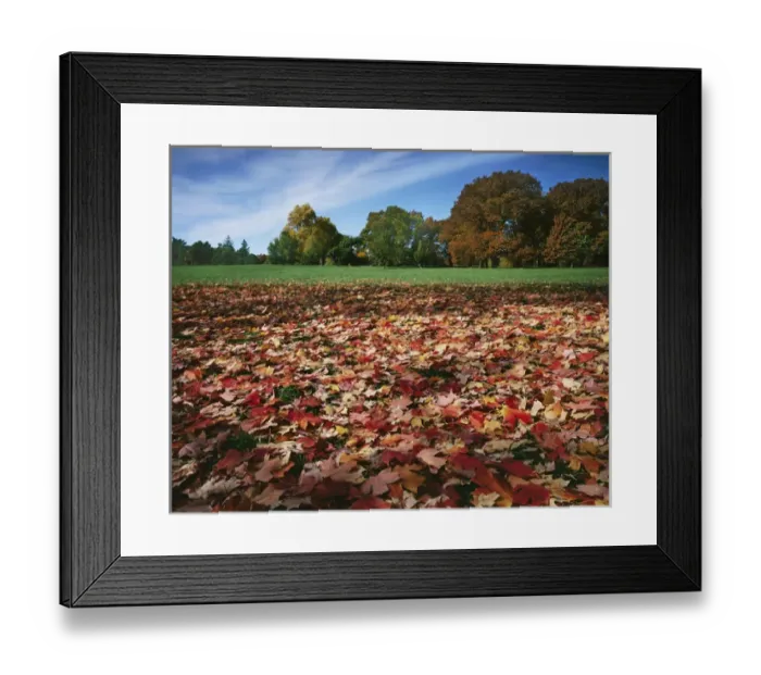 Framed Print : USA, Missouri, Kansas City, Autumn in Loose Park Framed Print : USA, Missouri, Kansas City, Autumn in Loose Park