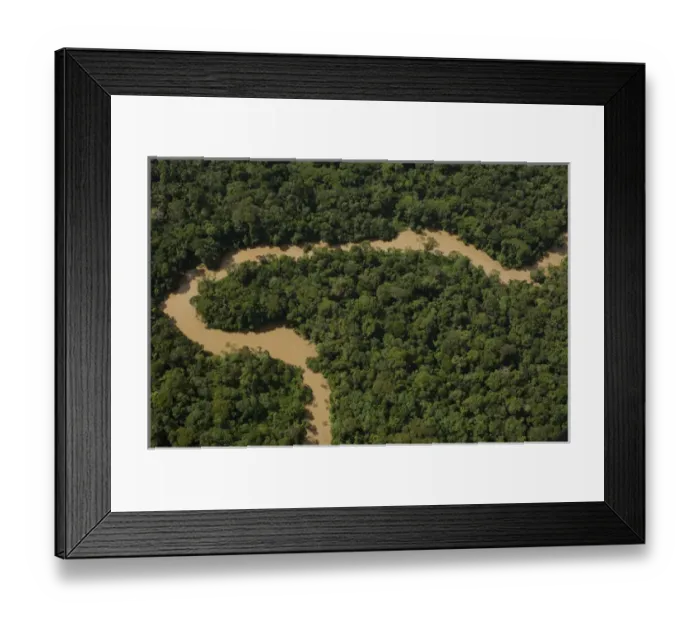 Framed Print : Tiguino River in Yasuni National Park. Amazon Rain Forest. ECUADOR. South America Framed Print : Tiguino River in Yasuni National Park. Amazon Rain Forest. ECUADOR. South America