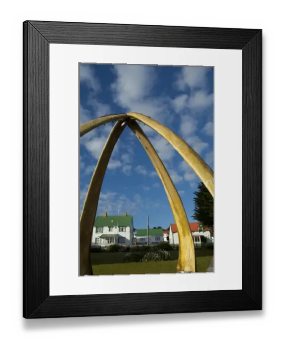 Framed Print : Falkland Island, Stanley (aka Port Stanley). Whalebone Arch, constructed in 1933