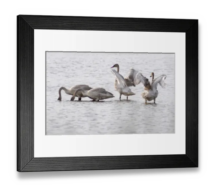 Framed Print : The Nebraska Sandhills is remote, dramatic and wild country dotted with working windmills Framed Print : The Nebraska Sandhills is remote, dramatic and wild country dotted with working windmills