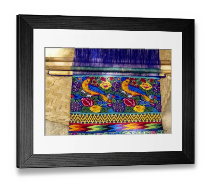 Framed Print : Guatemala: San Antonio, weaving on backstrap loom, July Framed Print : Guatemala: San Antonio, weaving on backstrap loom, July