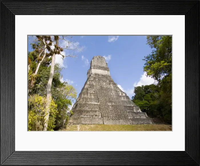 Framed Print : National tree called Kapok or Keiba Tree next to Tower 1 at the famous Mayan Ruins