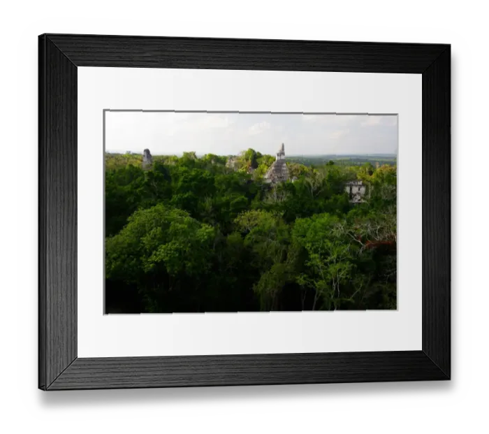 Framed Print : Guatemala, Tikal, vista from temple 5 onto main plaza Framed Print : Guatemala, Tikal, vista from temple 5 onto main plaza