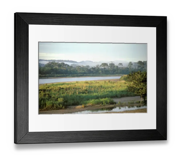 Framed Print : South America, Ecuador, Amazon. Napo River Framed Print : South America, Ecuador, Amazon. Napo River