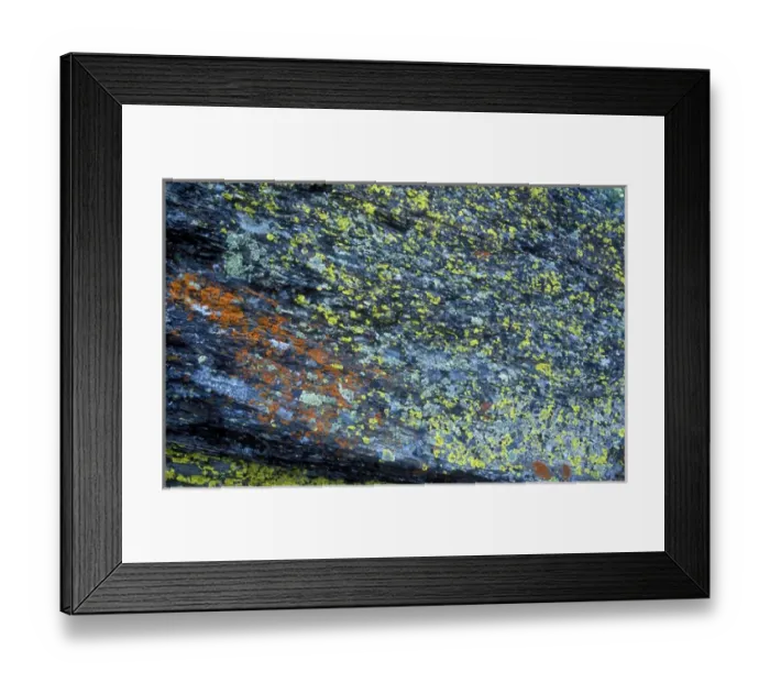 Framed Print : Abstract image of lichen growing on rock in Glacier National Park Framed Print : Abstract image of lichen growing on rock in Glacier National Park
