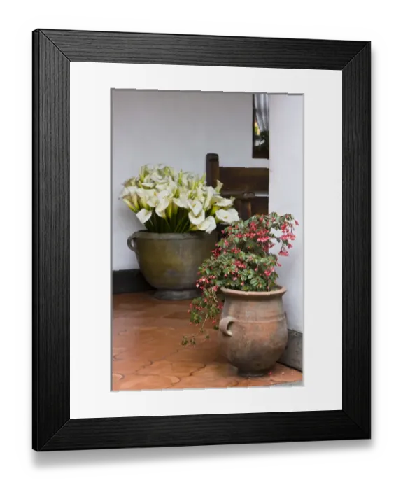 Framed Print : Central America, Guatemala, Chichicastenango. Potted flowers in hotel lobby