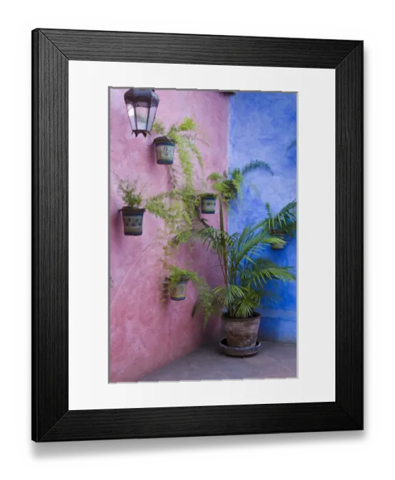 Framed Print : Central America, Guatemala, Antigua. Potted plants on colorful wall in Antigua Framed Print : Central America, Guatemala, Antigua. Potted plants on colorful wall in Antigua