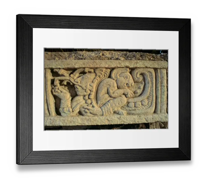 Framed Print : Royal Maya TombII