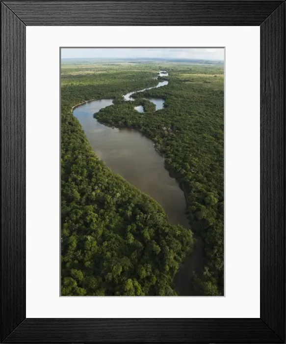 Framed Print : Aerial View of Rainforest Iwokrama Reserve GUYANA South America Framed Print : Aerial View of Rainforest Iwokrama Reserve GUYANA South America