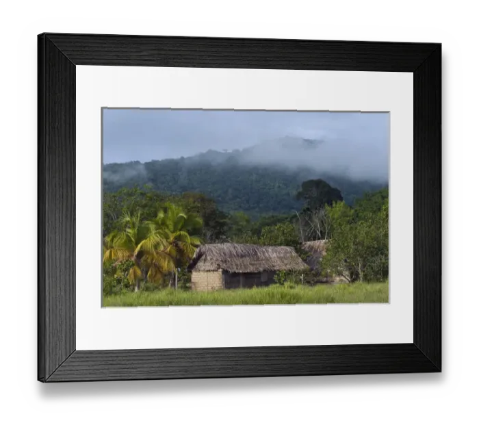 Framed Print : Amerindian house, Savannah North Rupununi GUYANA South America Framed Print : Amerindian house, Savannah North Rupununi GUYANA South America