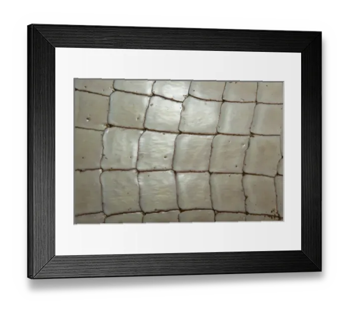 Framed Print : Black Caiman Catching (Melanosuchus niger) Savannah Rupununi GUYANA. South Framed Print : Black Caiman Catching (Melanosuchus niger) Savannah Rupununi GUYANA. South
