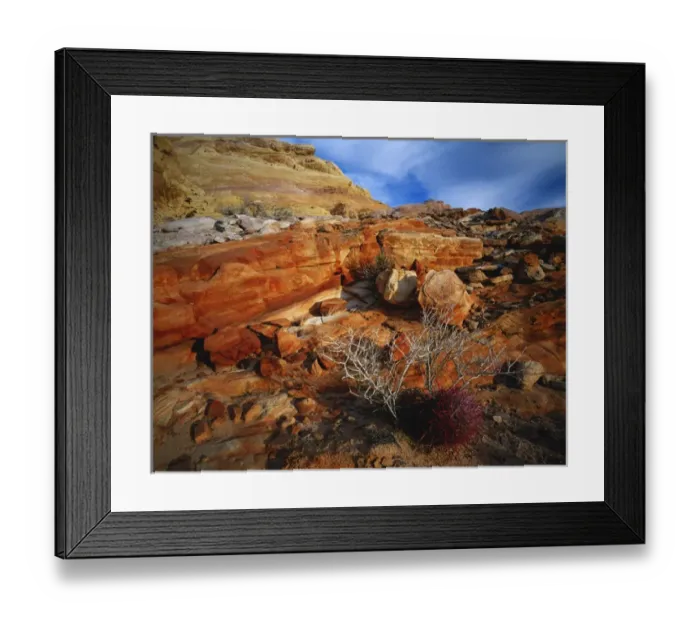 Framed Print : 07. USA, Nevada, Valley Of Fire State Park, Mojave Desert, Cactus among rocks Framed Print : 07. USA, Nevada, Valley Of Fire State Park, Mojave Desert, Cactus among rocks
