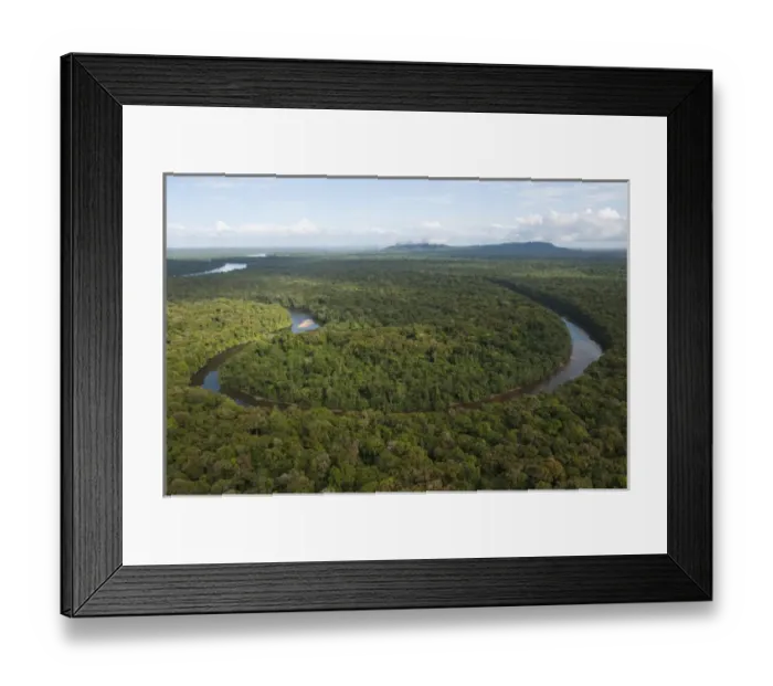 Framed Print : Essequibo River Longest river in Guyana, and the largest river between the Orinoco and Amazon Framed Print : Essequibo River Longest river in Guyana, and the largest river between the Orinoco and Amazon