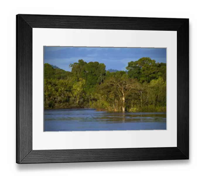 Framed Print : Essiquibo River Rain Forest Iwokrama Reserve GUYANA South America Framed Print : Essiquibo River Rain Forest Iwokrama Reserve GUYANA South America