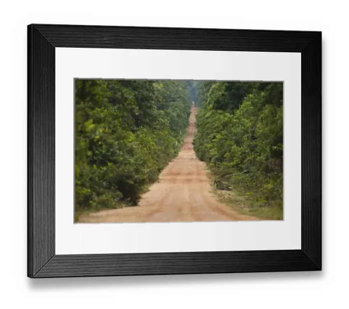 Framed Print : Iwokrama Road. Main access road between Georgetown and Lethem passing through Framed Print : Iwokrama Road. Main access road between Georgetown and Lethem passing through