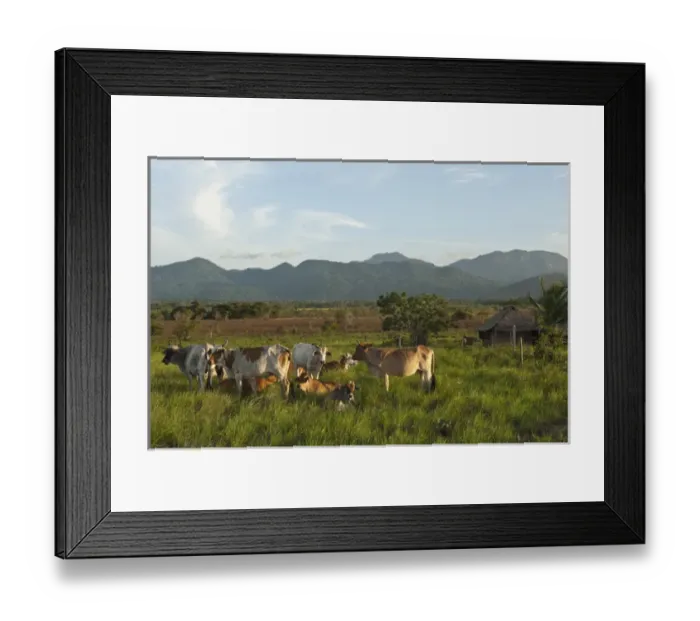 Framed Print : Kanaku Mountains Nappi Rupununi GUYANA South America