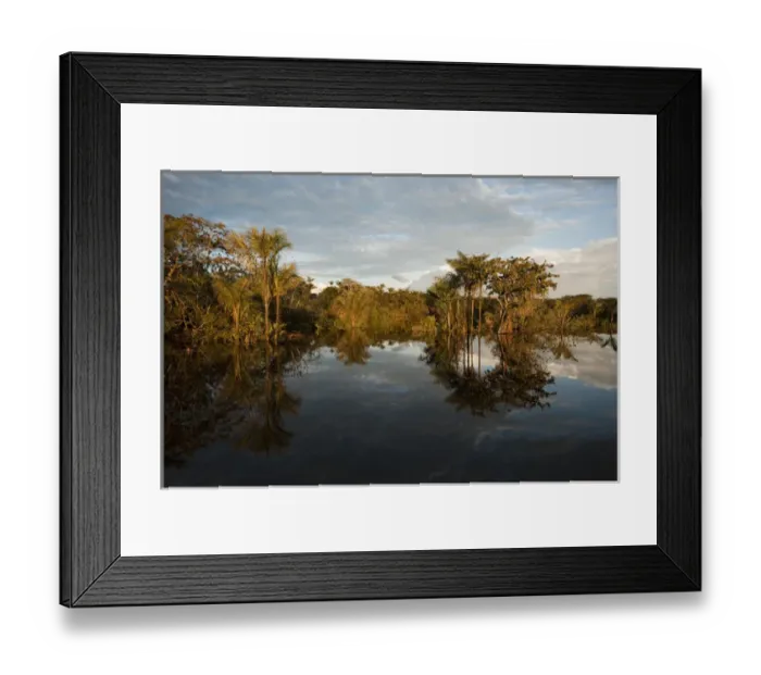 Framed Print : Permanent ponds in Savannah Rupununi GUYANA South America Framed Print : Permanent ponds in Savannah Rupununi GUYANA South America