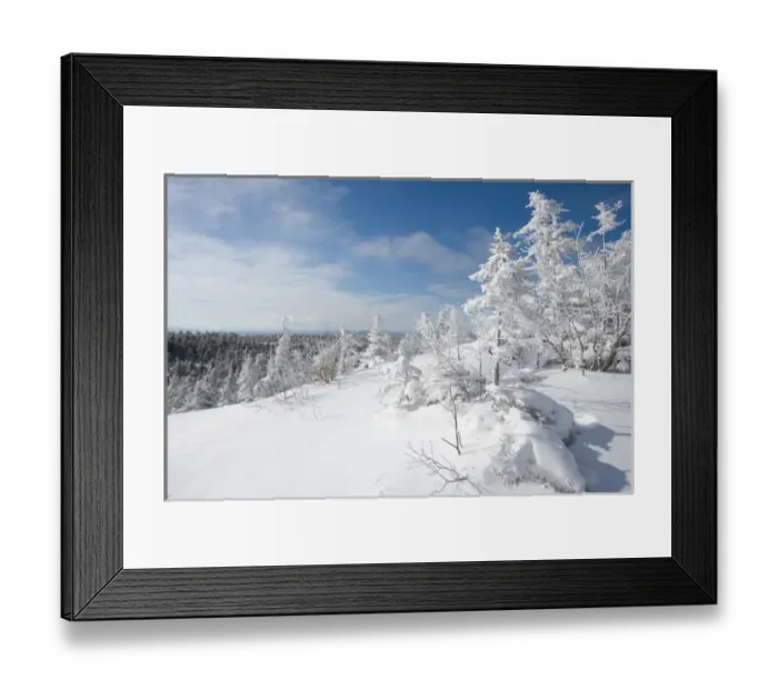 Framed Print : Snow laden trees high on the slopes of Mount Cardigan in Canaan, NH. Clark Trail Framed Print : Snow laden trees high on the slopes of Mount Cardigan in Canaan, NH. Clark Trail