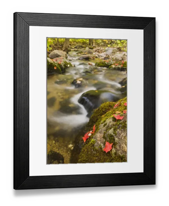 Framed Print : A stream in fall in a forest in Grafton, New Hampshire