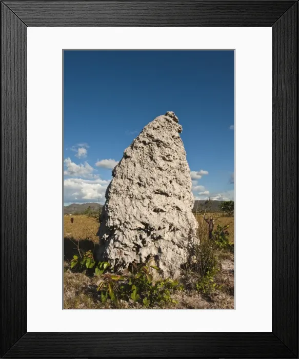 Framed Print : 06. Pakaraima Mountains are the mountains of Guyana Framed Print : 06. Pakaraima Mountains are the mountains of Guyana