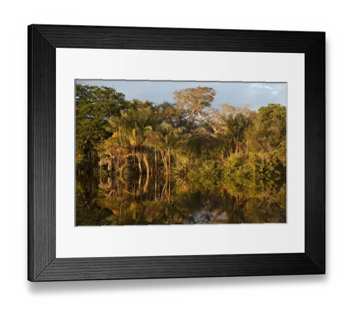 Framed Print : Permanent ponds in Savannah Rupununi GUYANA South America