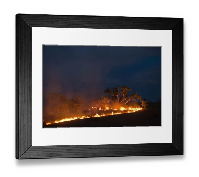 Framed Print : Savannah Fire Kanuku Mountains Rupununi GUYANA South America Framed Print : Savannah Fire Kanuku Mountains Rupununi GUYANA South America
