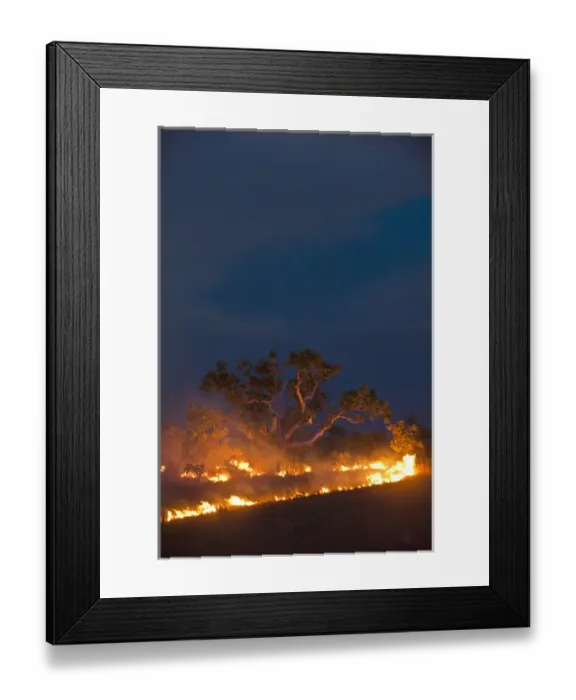 Framed Print : Savannah Fire Kanuku Mountains Rupununi GUYANA South America Framed Print : Savannah Fire Kanuku Mountains Rupununi GUYANA South America