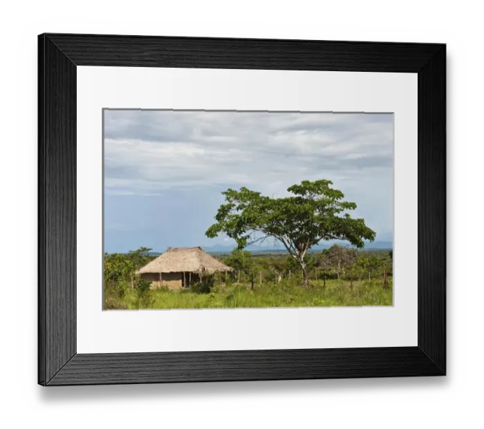 Framed Print : Macushi people Yupukari village Savannah, Rupununi GUYANA South America