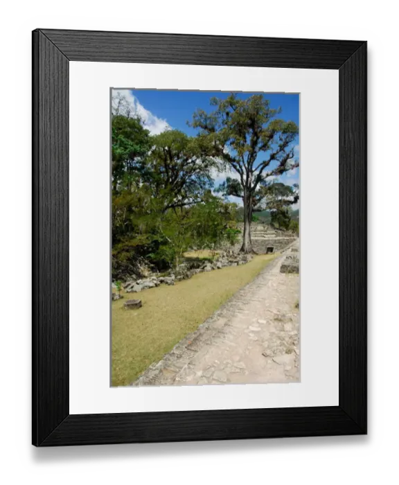 Framed Print : Central America, Honduras, Copan (aka Xukpi in Maya). Ruins of Classic Period Mayan civilization Framed Print : Central America, Honduras, Copan (aka Xukpi in Maya). Ruins of Classic Period Mayan civilization